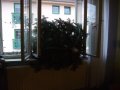 IMGP3406.JPG